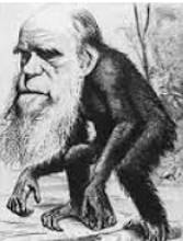 Charge mostrando Charles Darwin como macaco