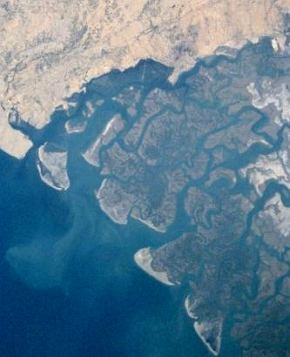 Imagem a&eacute;rea do delta do rio Indo
