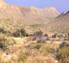 Deserto de Chihuahua nos Estados Unidos