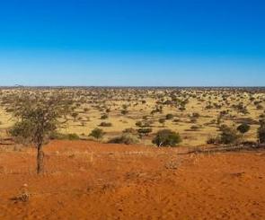 Deserto do Kalahari na Nab&iacute;bia com pouca vegeta&ccedil;&atilde;o