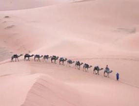 Foto de um deserto com caravana de camelos