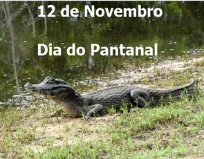 Imgem de um jacaré e o texto 12 de Novembro, dia do Pantanal