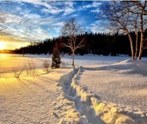 Dia de inverno com neve no Uruguai