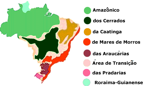 Mapa dos domínios morfoclimáticos do Brasil