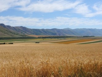 Foto de uma regi&atilde;o de estepes no Uzbequist&atilde;o