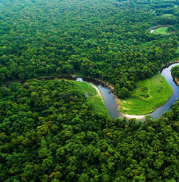 Vis&atilde;o a&eacute;rea de uma &aacute;rea da floresta amaz&ocirc;nica