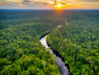 Foto a&eacute;rea da floresta Amaz&ocirc;nica