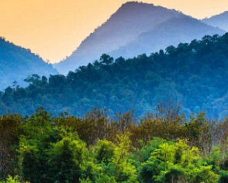 Foto de Floresta Tropical na China