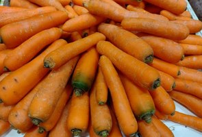 Foto de várias cenouras de cor alaranjada