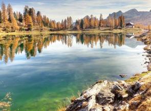 Foto de um lago cercado por árvores