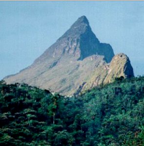 Foto do Pico da Neblina