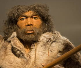 Reconstitui&ccedil;&atilde;o da face do Homem de Neandertal