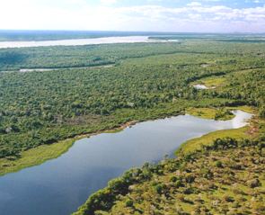 &Aacute;rea da Ilha do Bananal mostando vegeta&ccedil;&atilde;o e rio