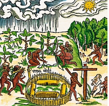 Agricultura, habita&ccedil;&otilde;es e costumes dos tupis retratados na ilustra&ccedil;&atilde;o de Hans Staden (1556).