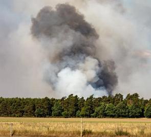 Incêndio numa floresta com liberação de muita fumaça.