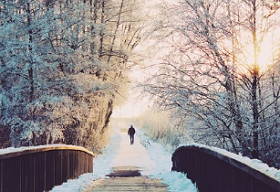 Foto de uma paisagem do inverno com neve