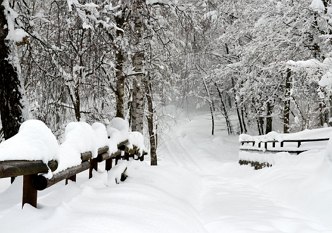 Foto mostrando uma regi&atilde;o com &aacute;rvores e um pequena ponte cobertas pela neve