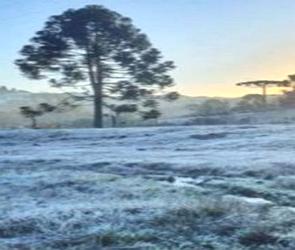 Paisagem de inverno com geada no sul do Brasil