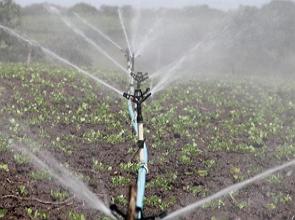 Plantação sendo irrigada pro processo mecânico