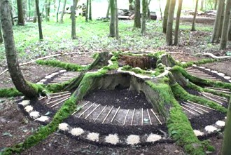 Obra de land art feita numa regi&atilde;o de &aacute;rvores tendo como base uma &aacute;rvore cortada e suas ra&iacute;zes.