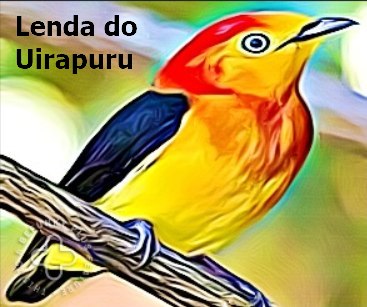 Desenho de um p&aacute;ssaro amarelo, vermelho e preto