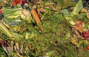 Lixo verde, restos de verduras e legumes