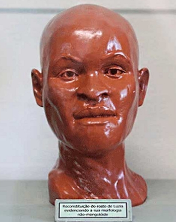 Reconstitui&ccedil;&atilde;o facial de Luzia