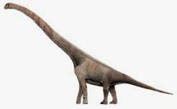 Sauroposeidon, um dos maiores dinossauros que já existiu