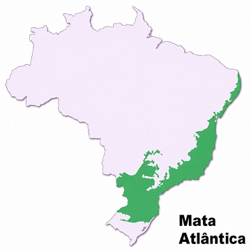Mapa do Brasil mostrando a localiza&ccedil;&atilde;o da Mata Atl&acirc;ntica