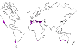 Mapa de localização do clima mediterrâneo