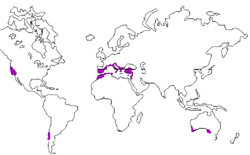 Mapa de localiza&ccedil;&atilde;o do clima mediterr&acirc;neo