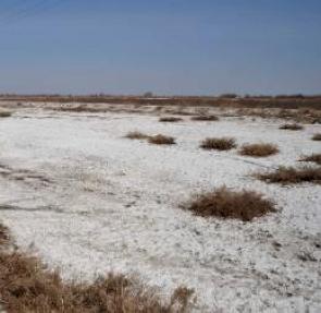 Área do Mar de Aral que passou por desertificação