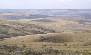 Mares de Morros