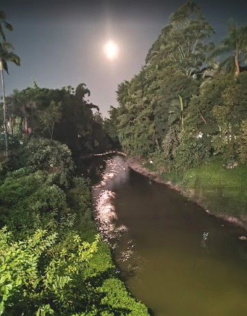 Foto de um rio com presen&ccedil;a de vegeta&ccedil;&atilde;o de mata-ciliar