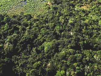 Foto a&eacute;rea de uma parte do territ&oacute;rio da Bahia coberto pela Mata Atl&acirc;ntica
