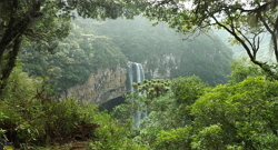 Mata Atlântica, bioma brasileiro