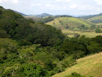 Foto mostrando uma regi&atilde;o da Bahia com presen&ccedil;a da vegeta&ccedil;&atilde;o de Mata Atl&acirc;ntica