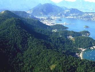 Foto a&eacute;rea mostrando &aacute;rea preservada da Mata Atl&acirc;ntica no Estado do Rio de Janeiro