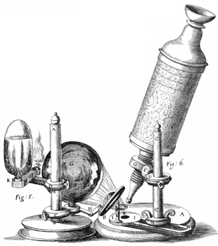 Ilustra&ccedil;&atilde;o do microsc&oacute;pio de Hooke