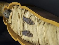 Múmias do Egito Antigo - Sua Pesquisa