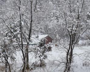 Paisagem com árvores e uma casa coberta com neve