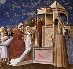 Apresentação da Virgem no Templo, pintura de Giotto