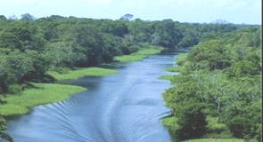 Planície do Rio Amazonas