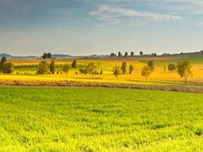 Paisagem com vegeta&ccedil;&atilde;o das pradarias