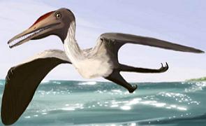 Desenho de uma reconstru&ccedil;&atilde;o de como seria um Pterod&aacute;ctilo
