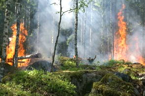Foto de queimada na floresta amazômica