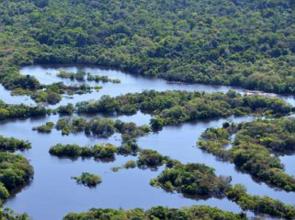 Foto aéra de uma parte da Reserva de Desenvolvimento Sustentável Mamirauá