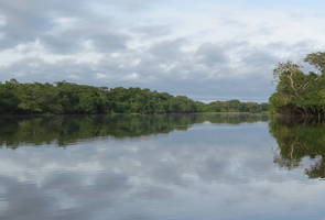 Foto do rio Amazonas na região norte do Brasil