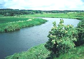 Foto do rio Guden na Dinamarca