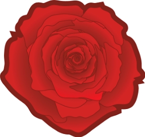 Figura de uma rosa vermelha